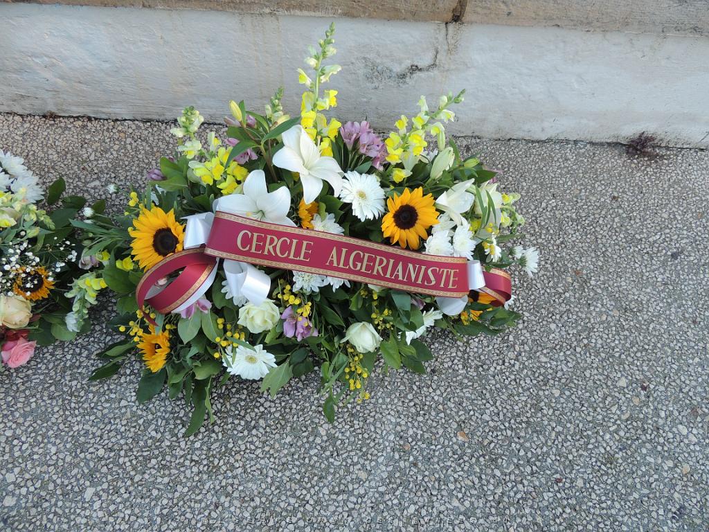 2022 12 05 TOULON HOMMAGE AUX MORTS POUR LA FRANCE EN AFN (11).JPG -           